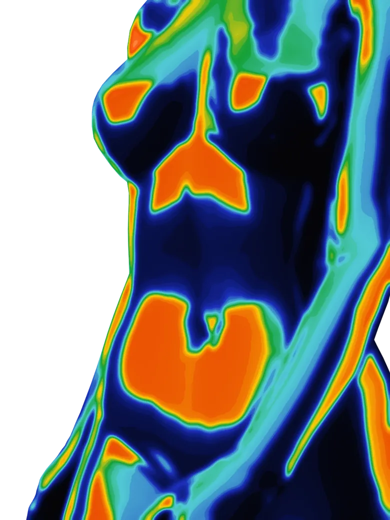 Thermal map of a torso